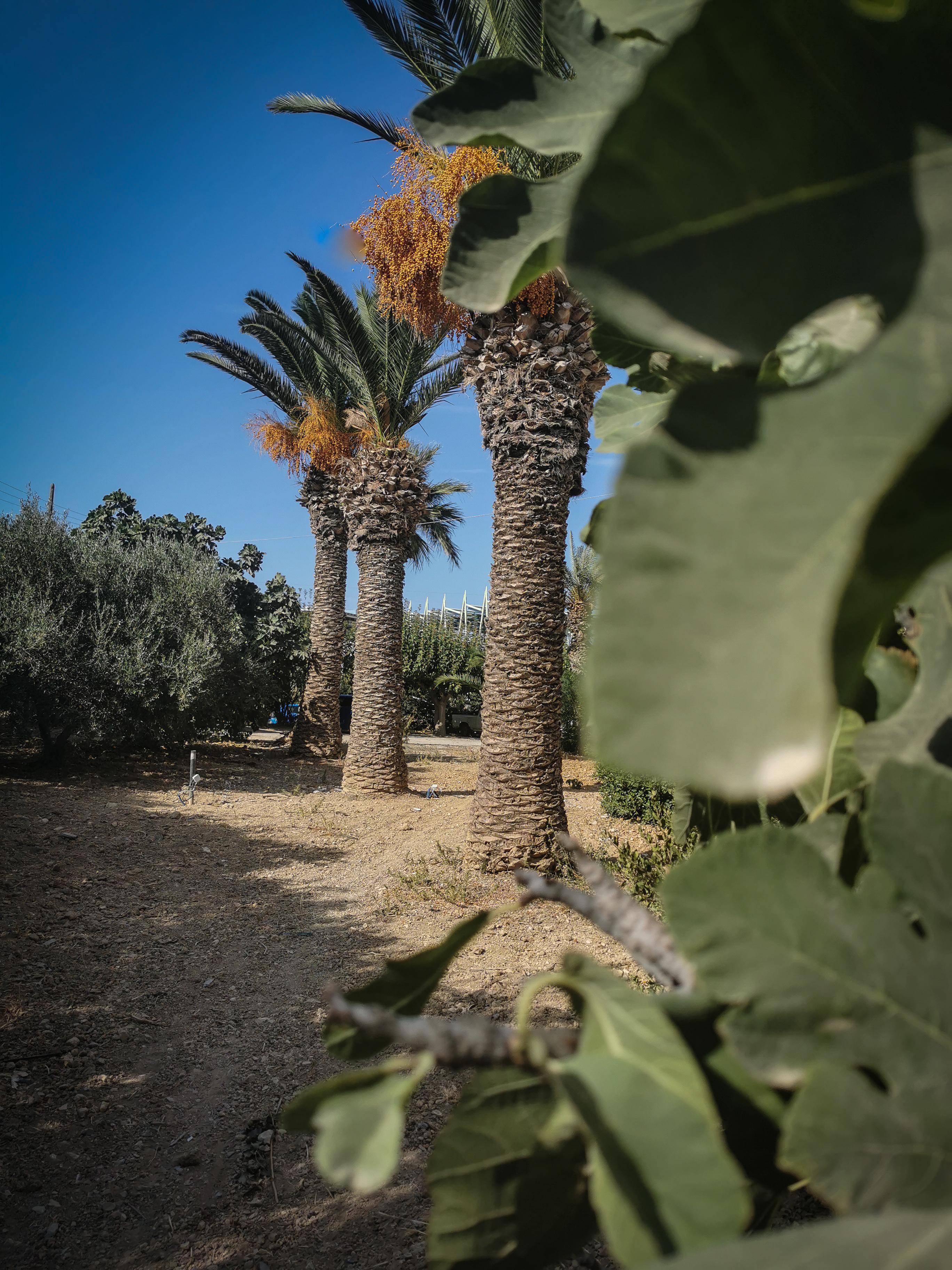 Ξενοδοχείο Γοργόνα Αμουδάρα Εξωτερικό φωτογραφία